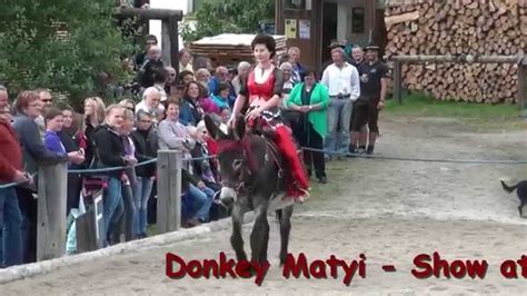 Donkey Riding Belly Dance Show